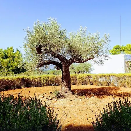 Ibiza Large And Luxurious Finca In Very Exclusive Environment سانتا أيُلاريا ذيس ريو